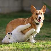 photograph by PeterW